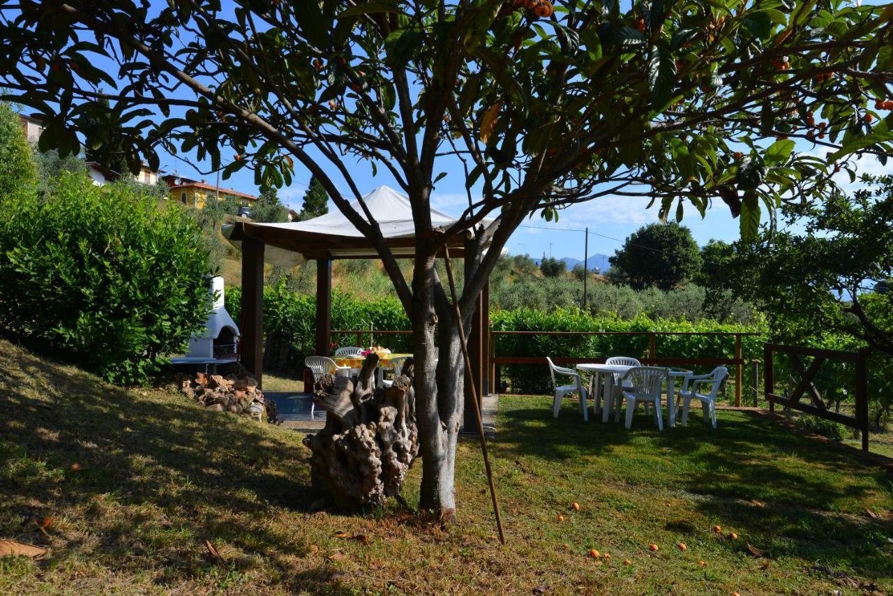 Apartment Antiche Mura Puegnago del Garda