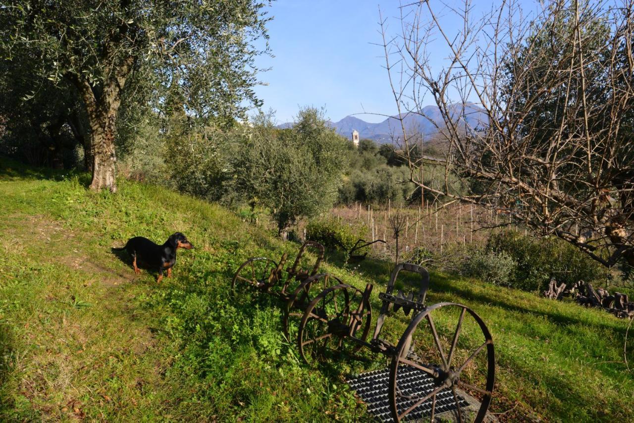 Antiche Mura * Puegnago del Garda
