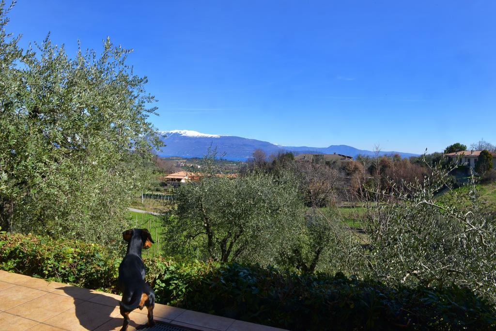 Apartment Antiche Mura