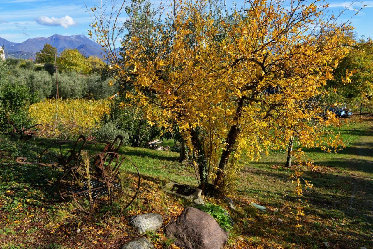 Antiche Mura Puegnago del Garda